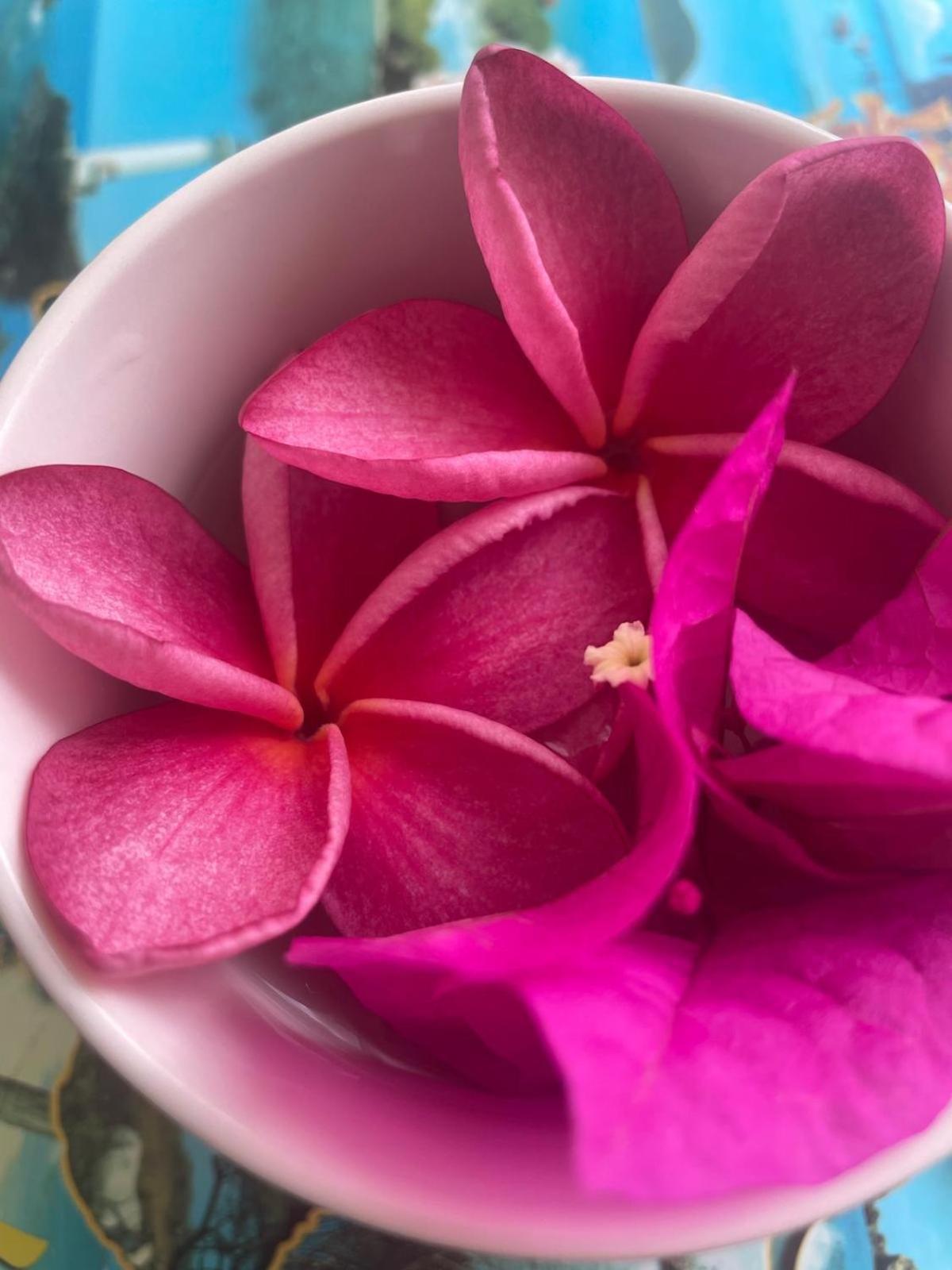 Studio Hibiscus Anse Des Rochers Saint Francois Zewnętrze zdjęcie